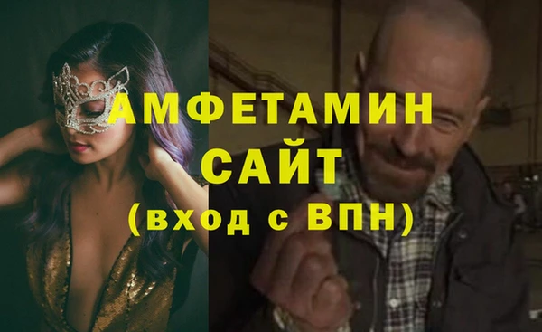шишки Новокубанск
