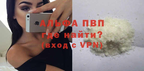 шишки Новокубанск