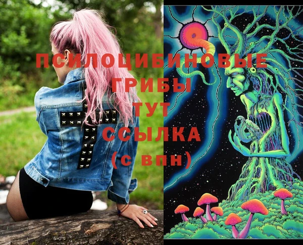 МДПВ Новодвинск