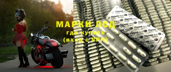шишки Новокубанск