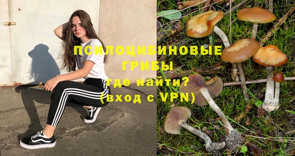шишки Новокубанск