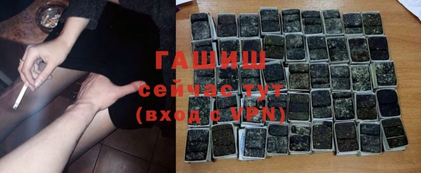 индика Билибино