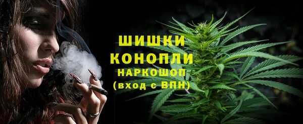 МДПВ Новодвинск