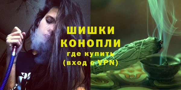 шишки Новокубанск