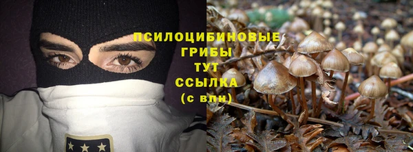 шишки Новокубанск