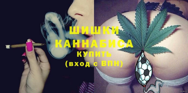 шишки Новокубанск